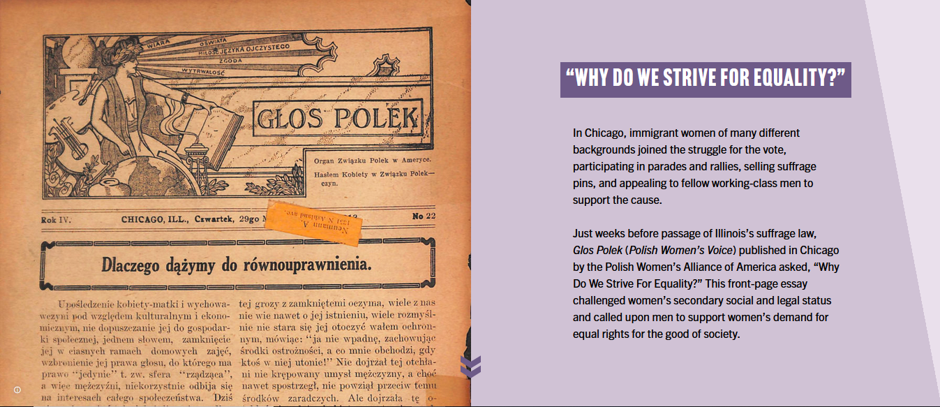 article featured in Democracy Limited Chicago History Museum